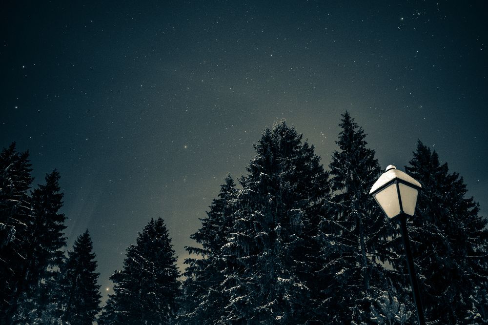 Photograph by Виктор Бурмистров