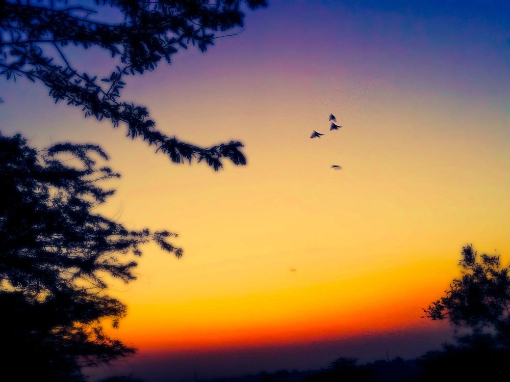 Photograph by Syed Ali Abdullah