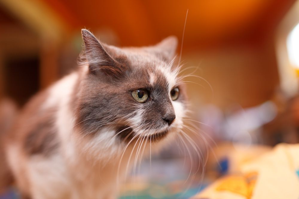 Photograph by Радик Саетгараев