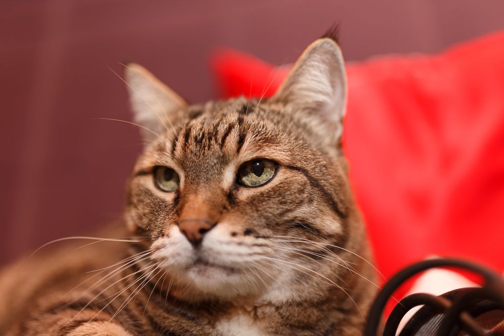 Photograph by Радик Саетгараев