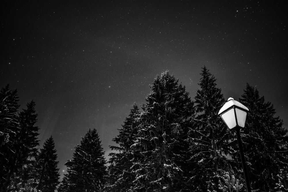 Photograph by Виктор Бурмистров