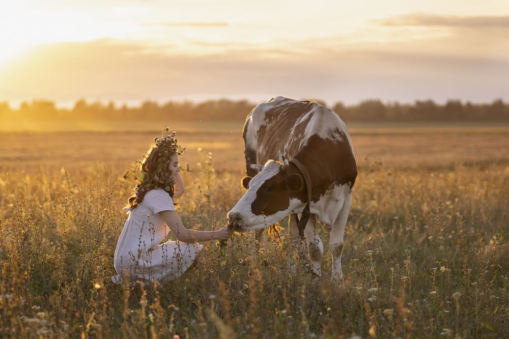 Лето в деревне