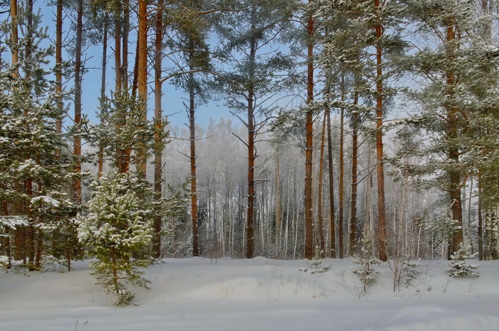 Просто...зима.