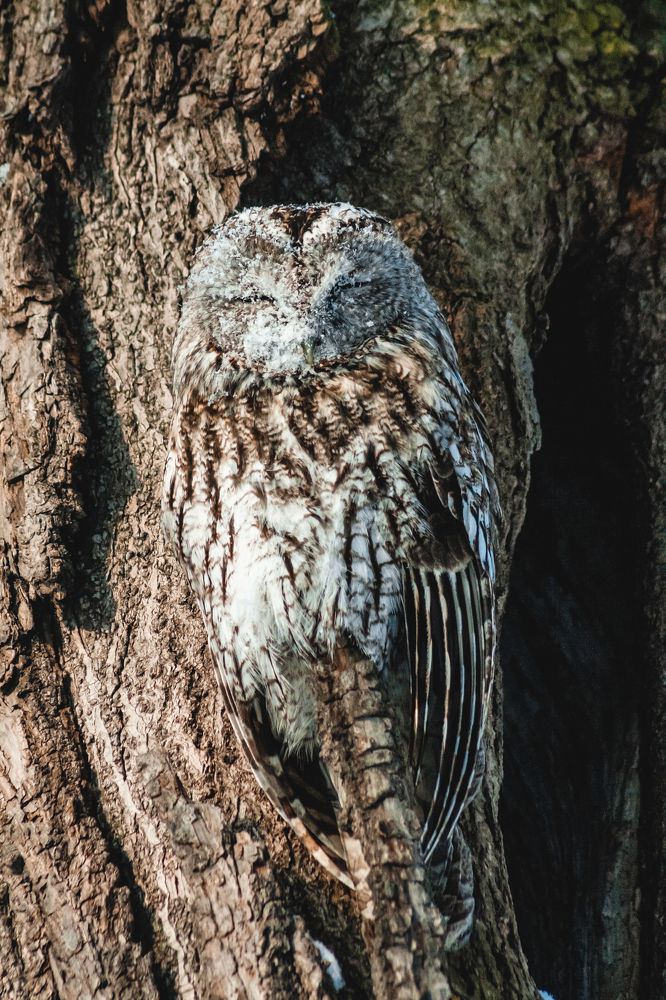 наморозило