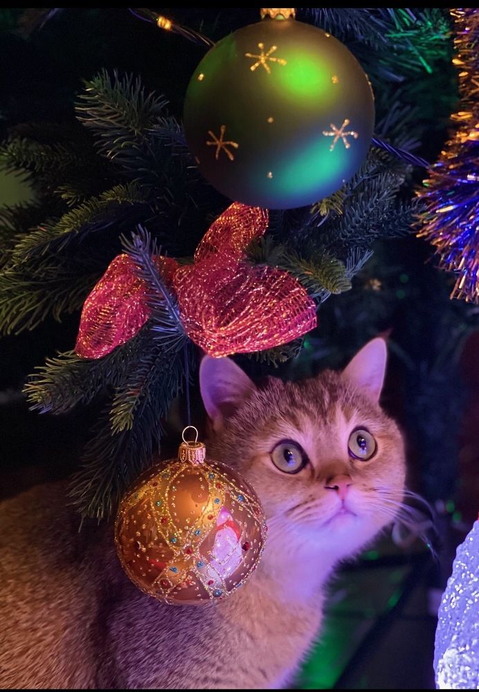 Photograph by Наталья Гладкая