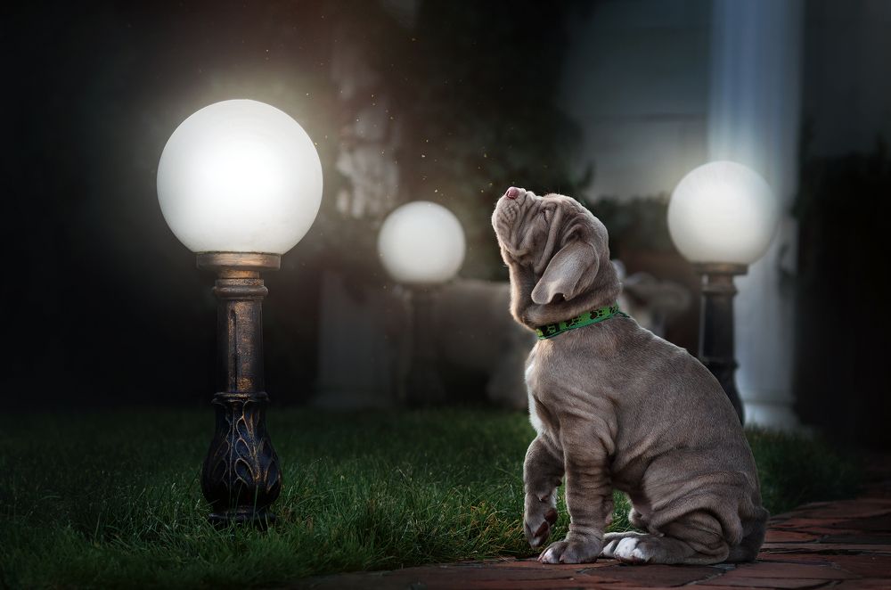 Photograph by Екатерина Кикоть