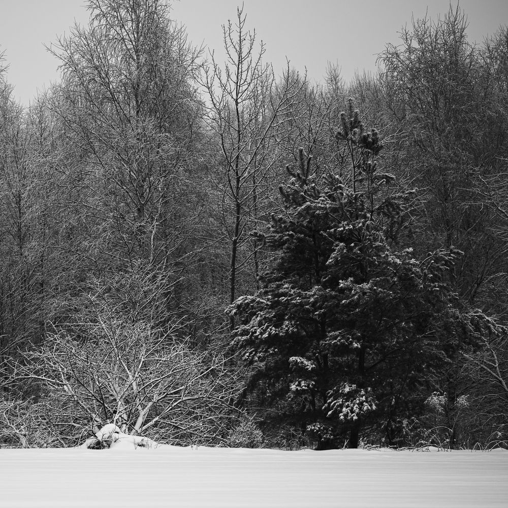 Photograph by Agnieszka Szadowiak