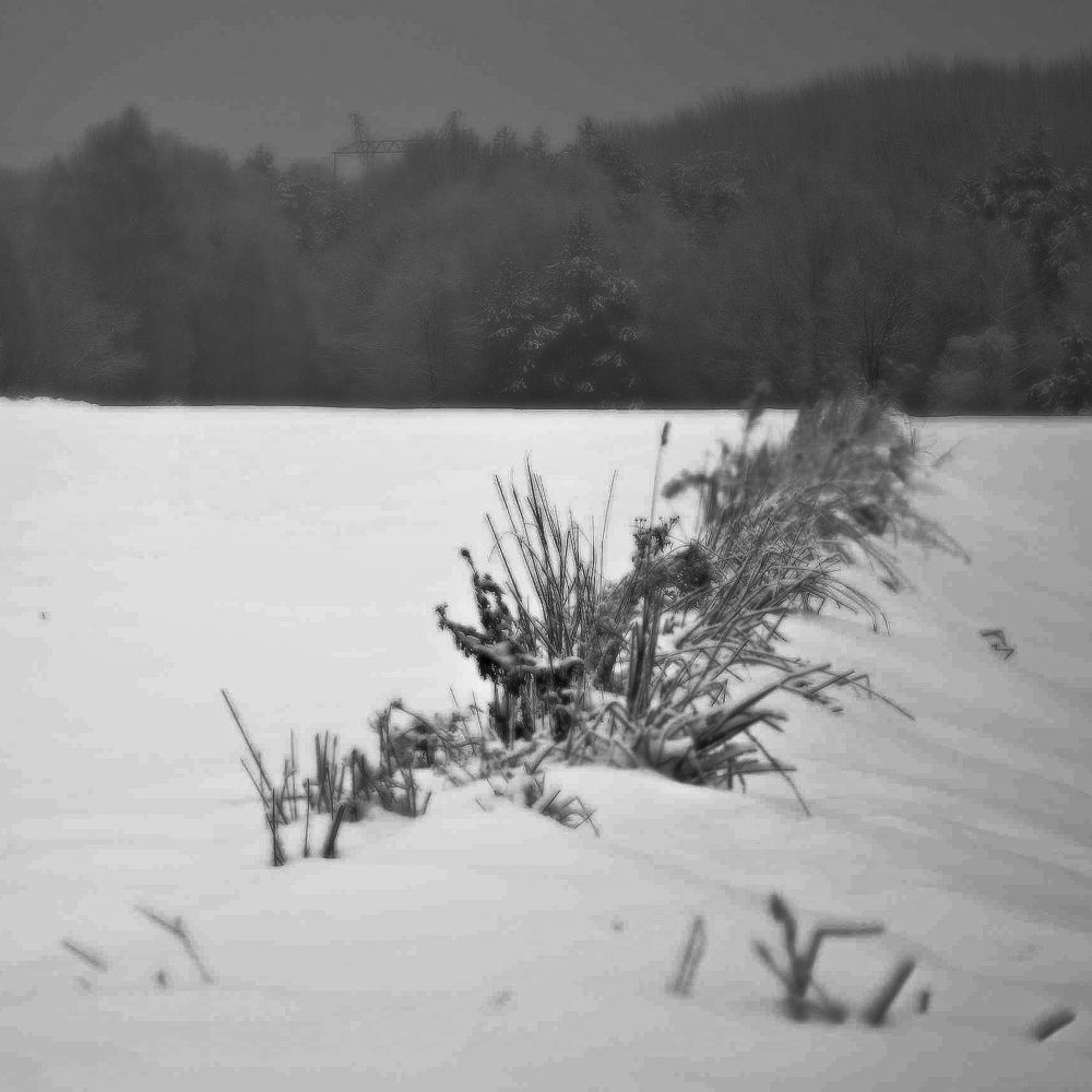 Photograph by Agnieszka Szadowiak