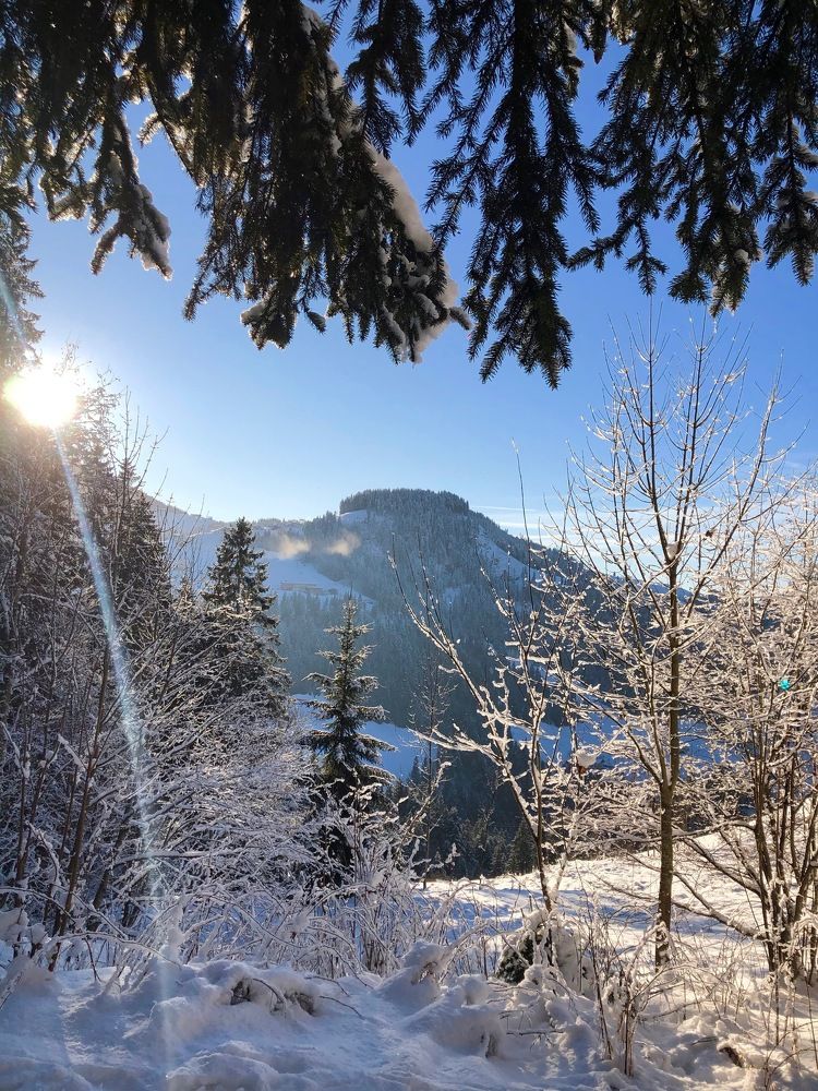 Photograph by Наталья Гладкая