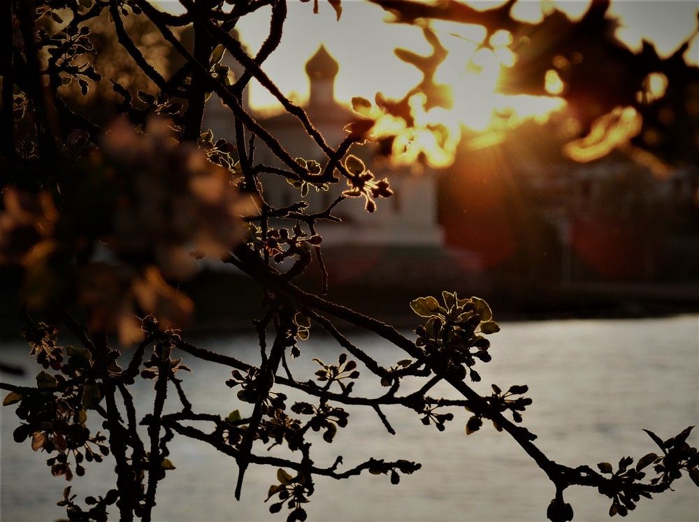 Photograph by Марина Игнатьева