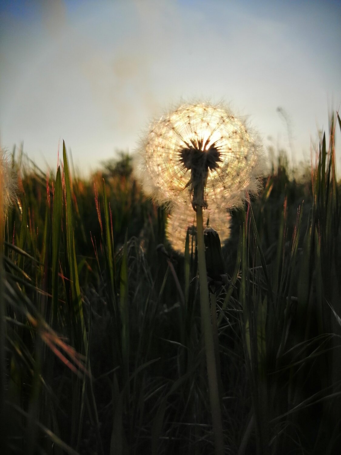 Photo #5780421