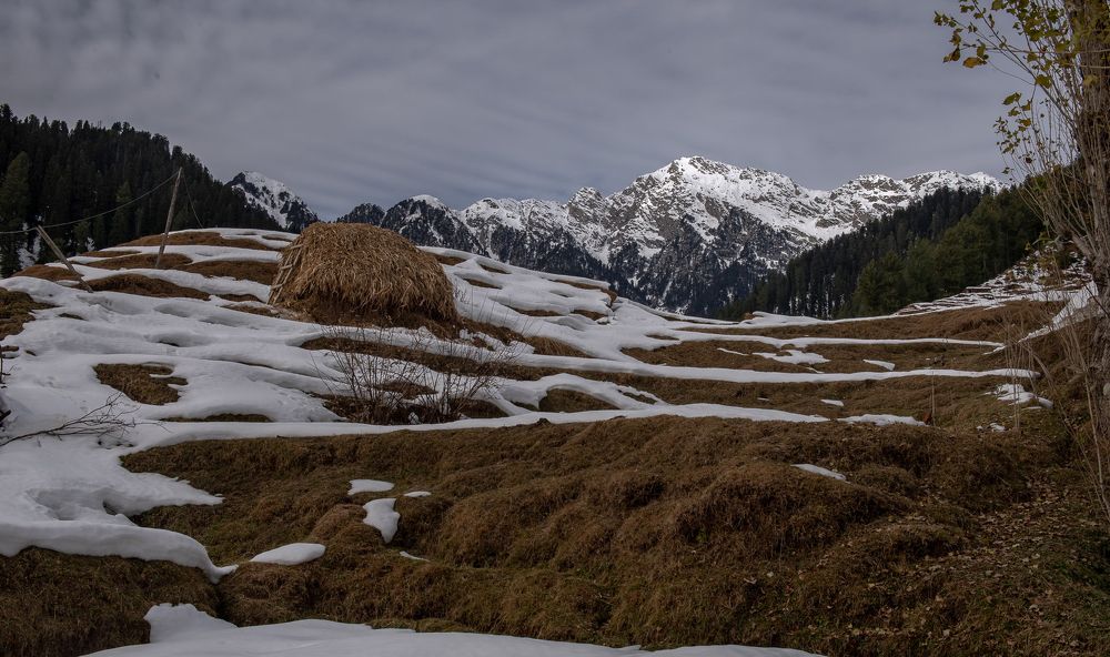 Photograph by Ahmad Bilal Cheema