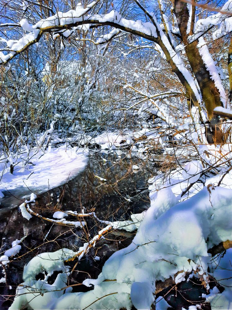 Photograph by Леонид Борисенко