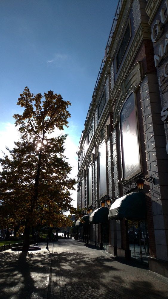 Лето.Тени. Shadows