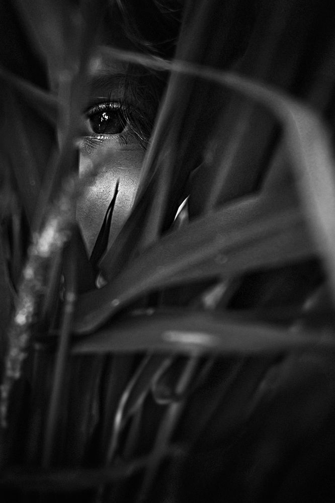 Photograph by Francisco Wilson