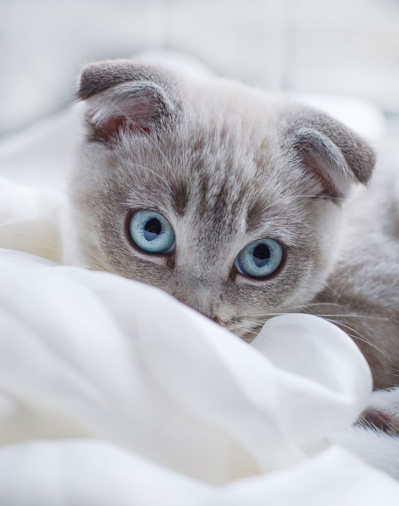 Photograph by Марина Шишкина