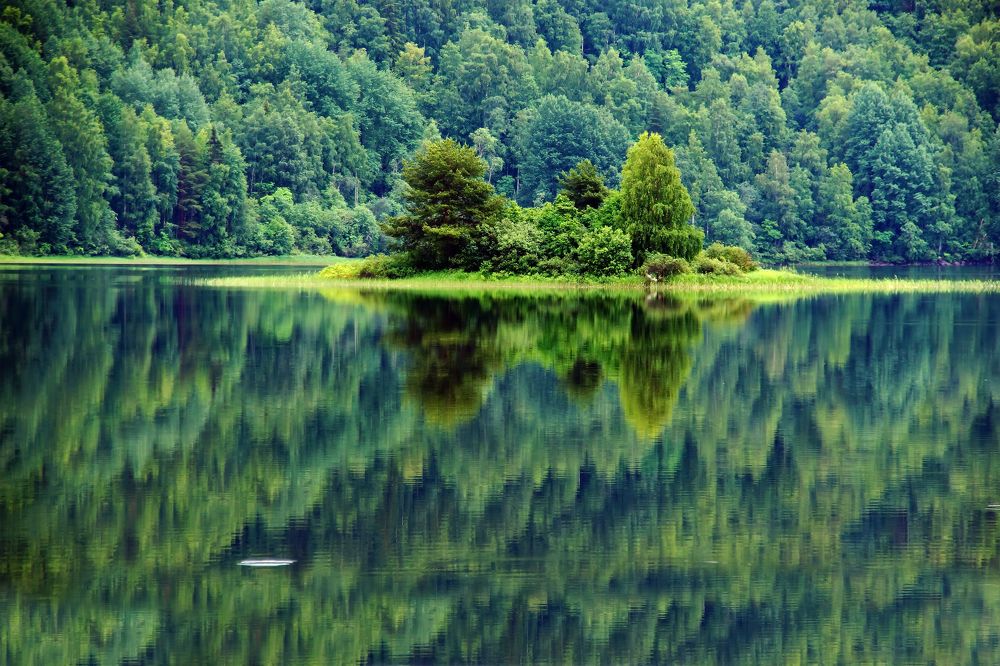 Photograph by Евгений Жиляев