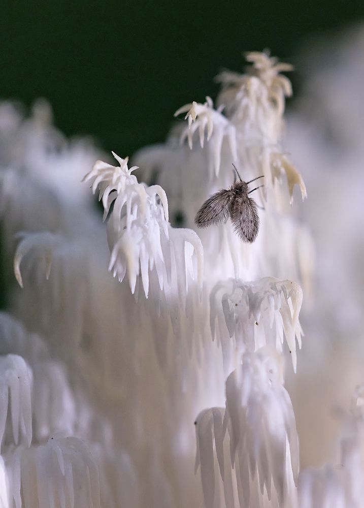 Photograph by Валерия Зверева