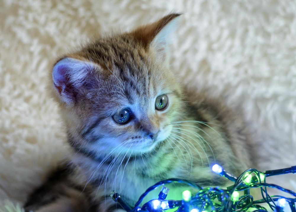 Photograph by Наталья Костинова