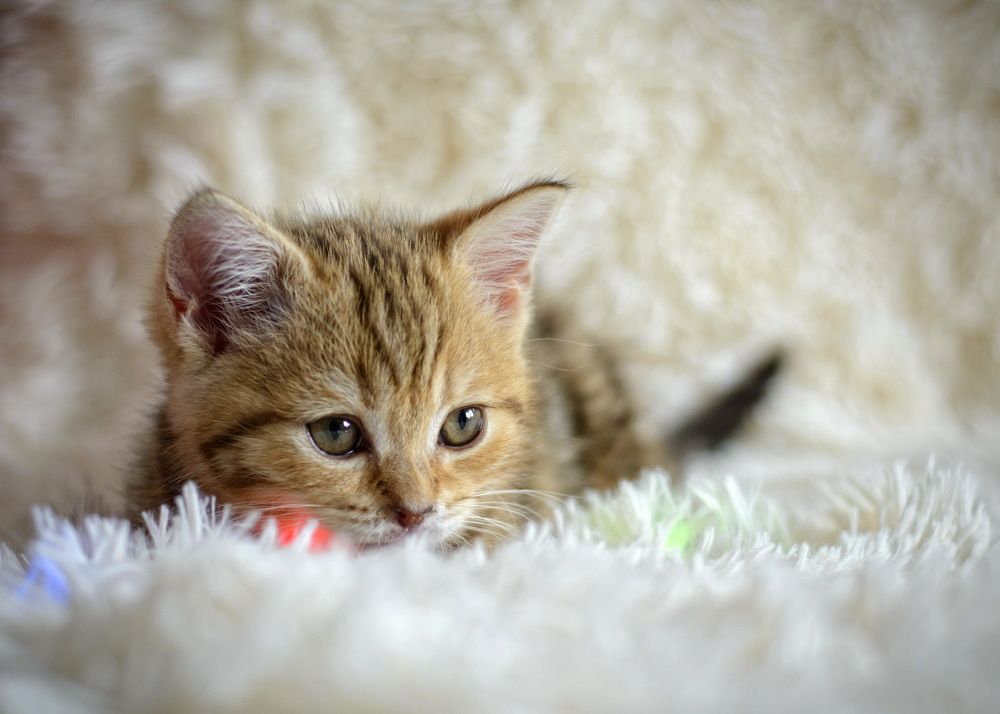 Photograph by Наталья Костинова