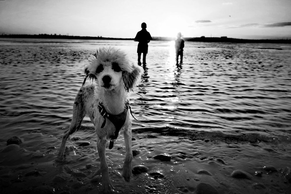 Уходящий август