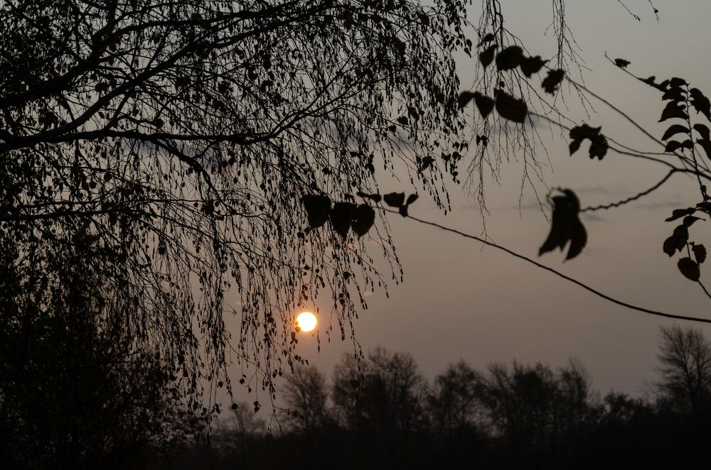 Photograph by Сергей Козлов