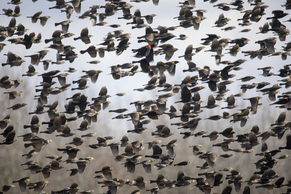 Photograph by Goutham Ganesh Sivanandam