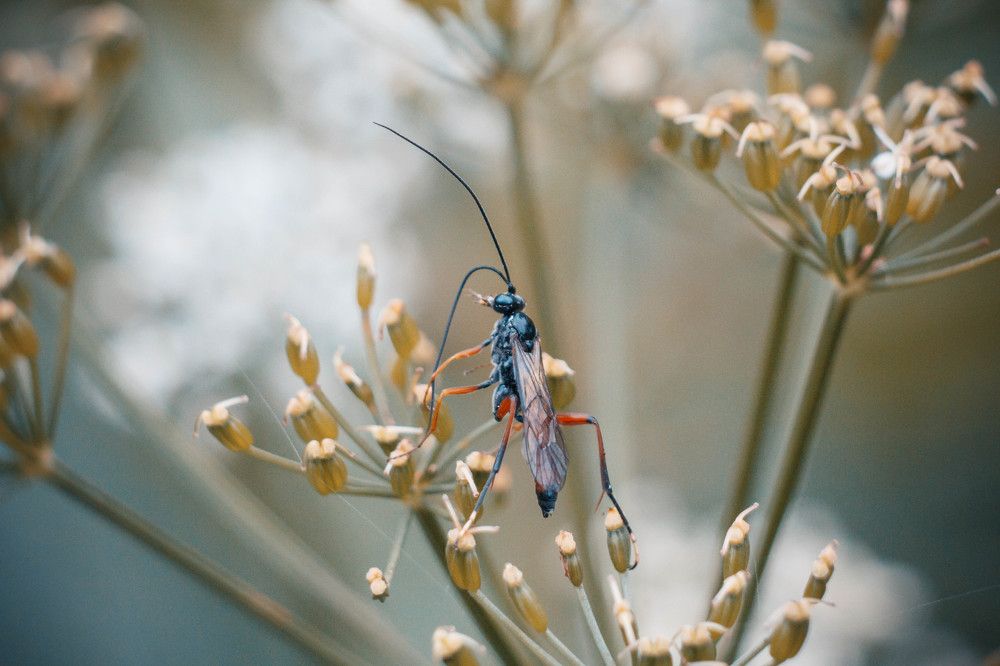 Photograph by Елена