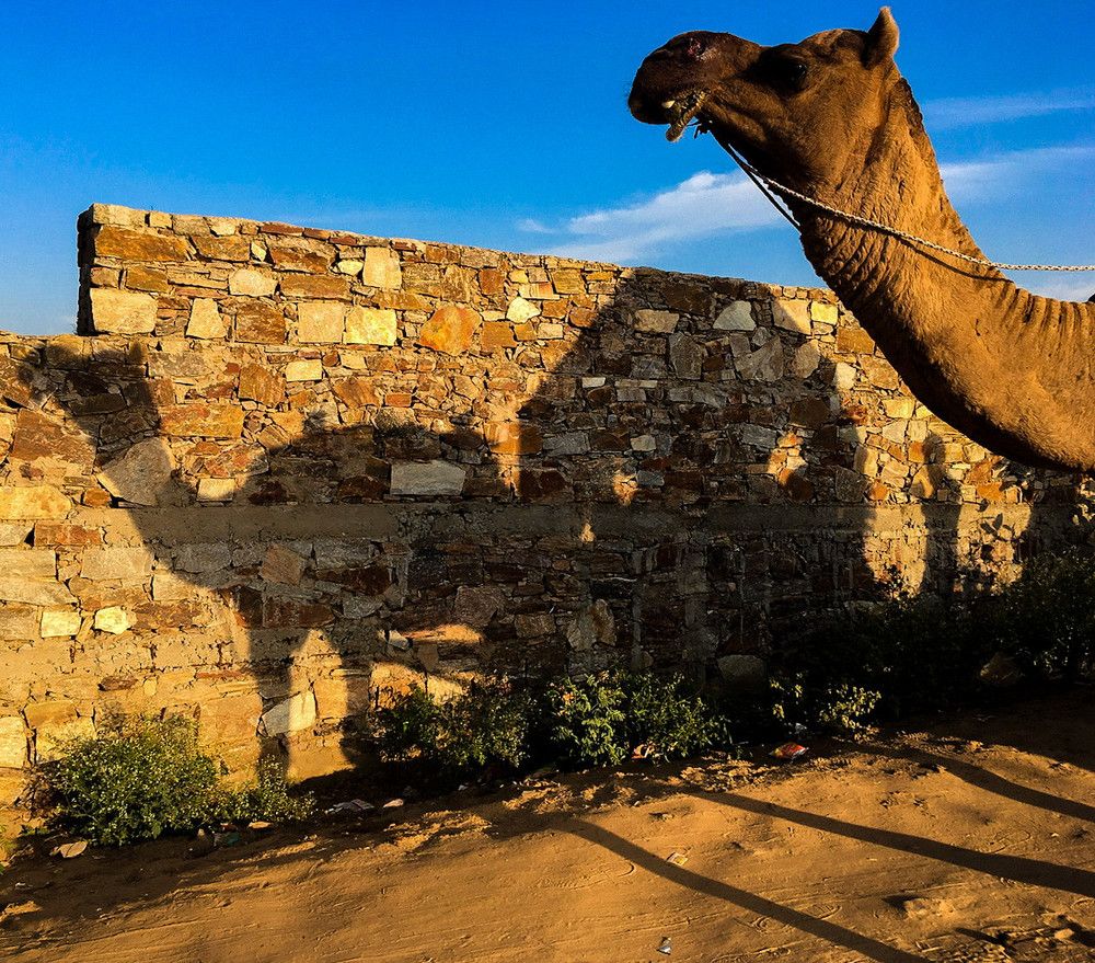 Photograph by Ashish patel