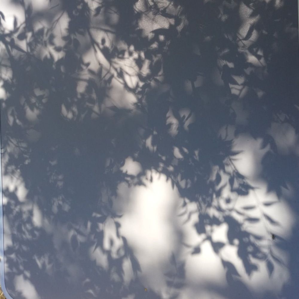 Photograph by Алла Оборина