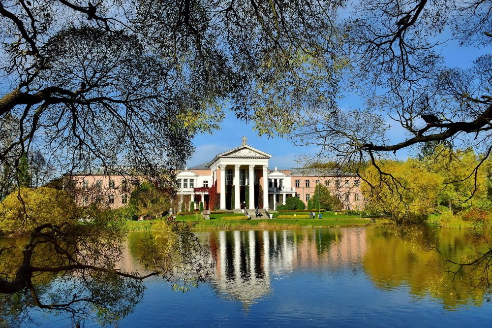 Осенний день в Ботаническом саду.