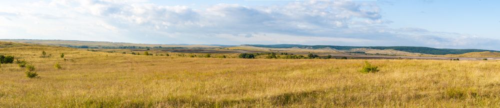 Поволжские степи