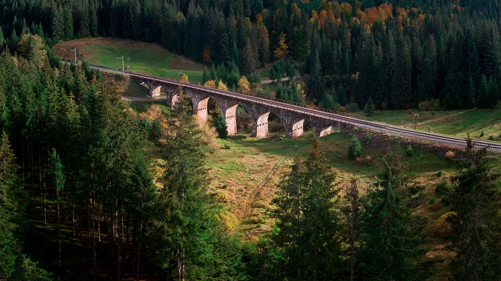 Фотография автора Андрей [Seencleyr] Чуяшенко