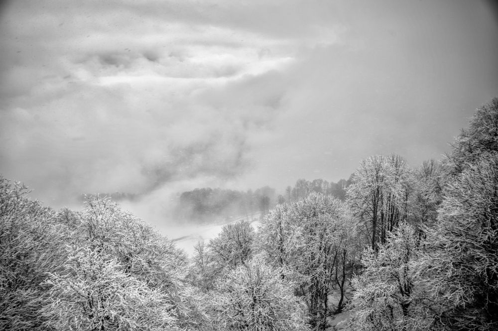 Photograph by  Александр