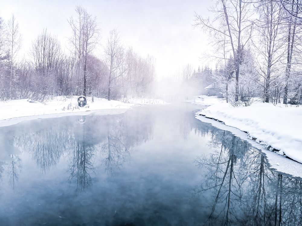 Photograph by Светлана Перминова