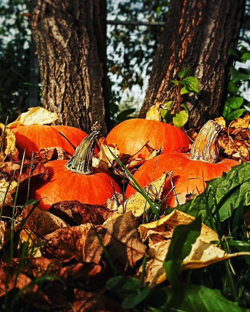 Photograph by Алексей Бобов