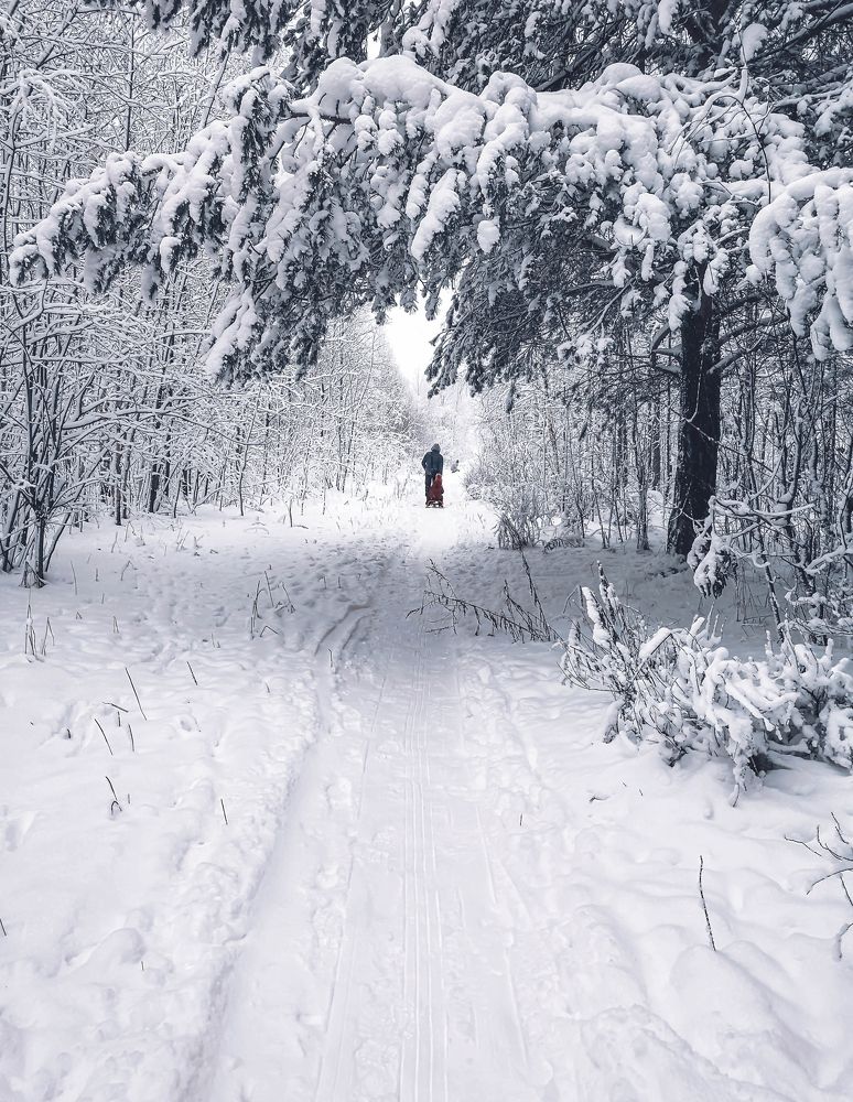 Photograph by Светлана Перминова