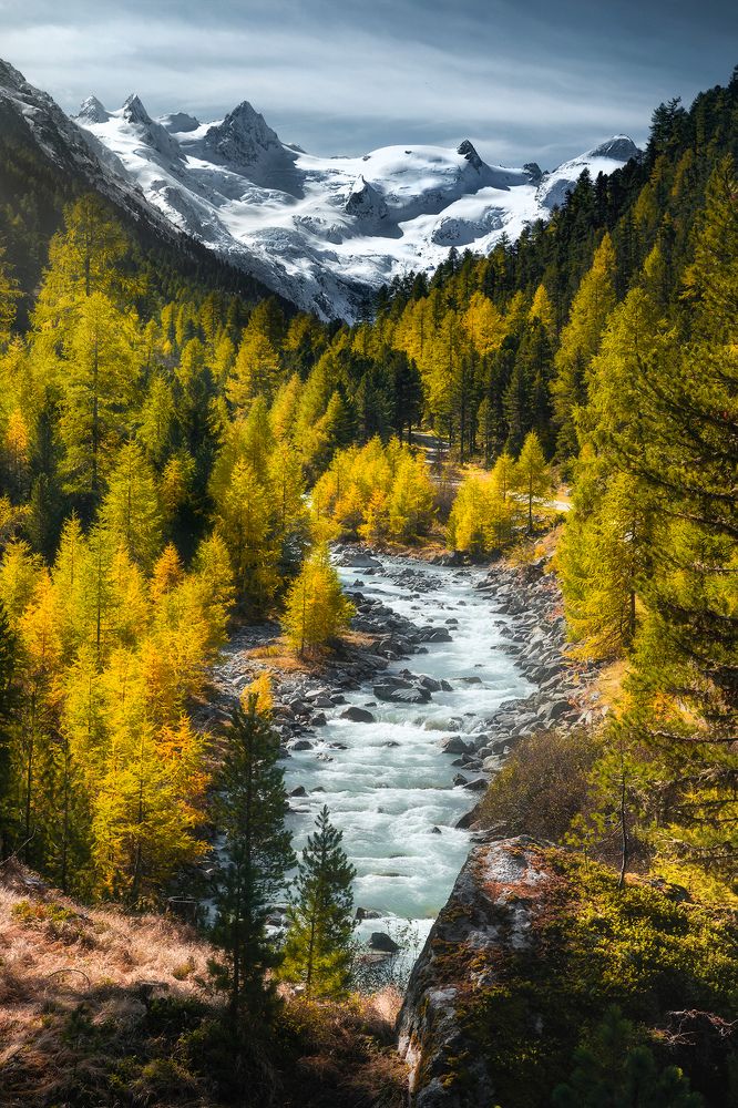 Photograph by Jakub Perlikowski