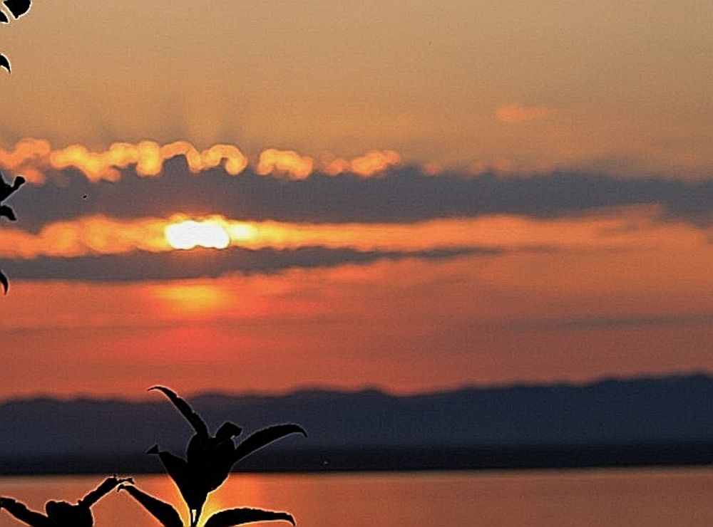 Photograph by Наталья Левашова