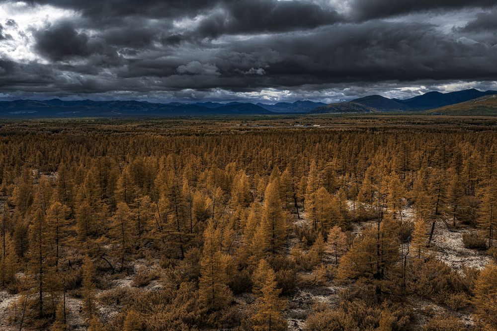 Photograph by Maksim Miroshnichenko