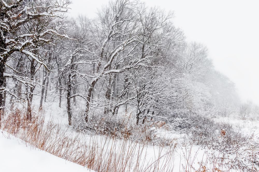 Photograph by Марина Грыныха