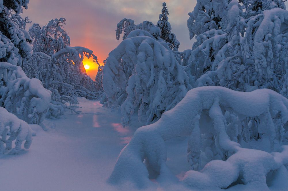 Photograph by Olga Akhmetova