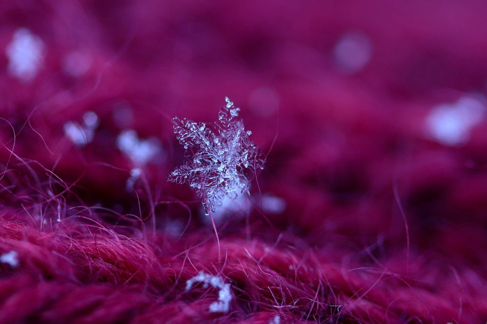 Photograph by Olga Vasina