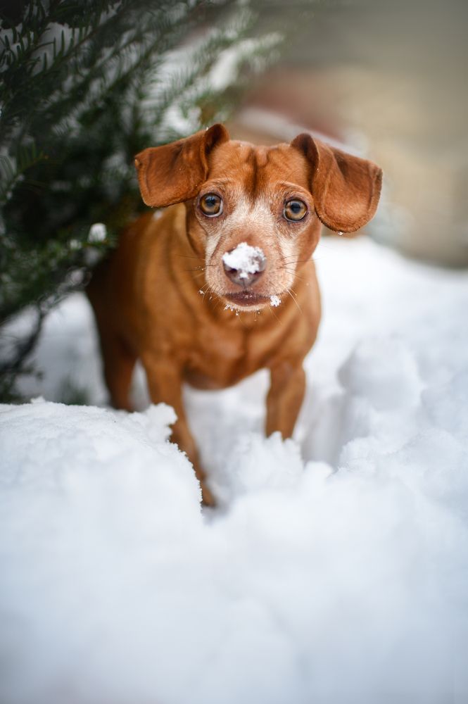 Photograph by Кристина Чижмар