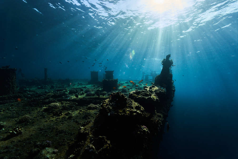 Photograph by Павел Карчевский