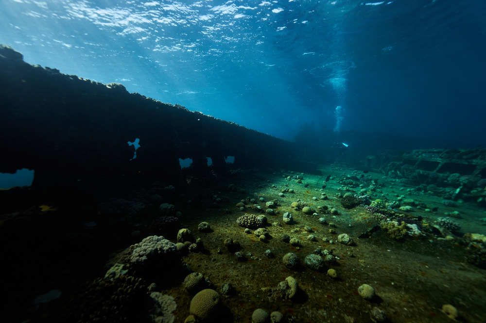 Photograph by Павел Карчевский