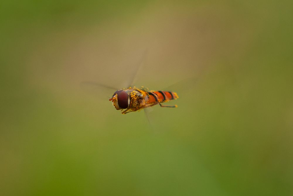 Photograph by Ариадна Подмогильная