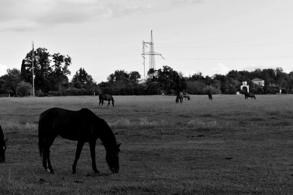 Photograph by Нина