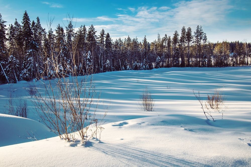 Photograph by Александр Титов