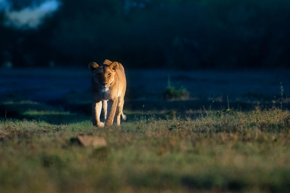Фотография автора Ravikumar Kannaiyan